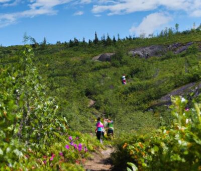 How Many Calories Burned In Hiking